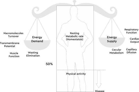 resting metabolic rate